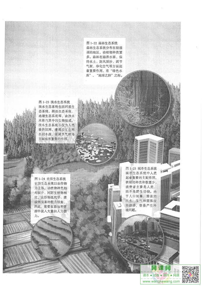 网课网