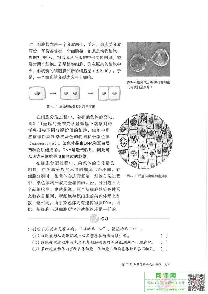 网课网