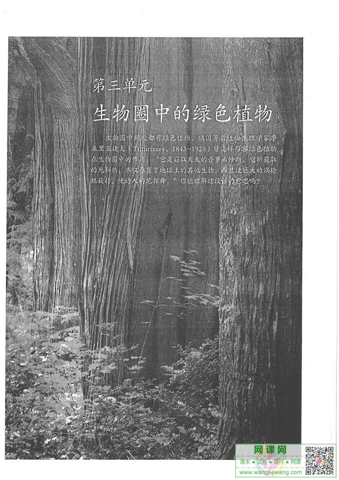 网课网