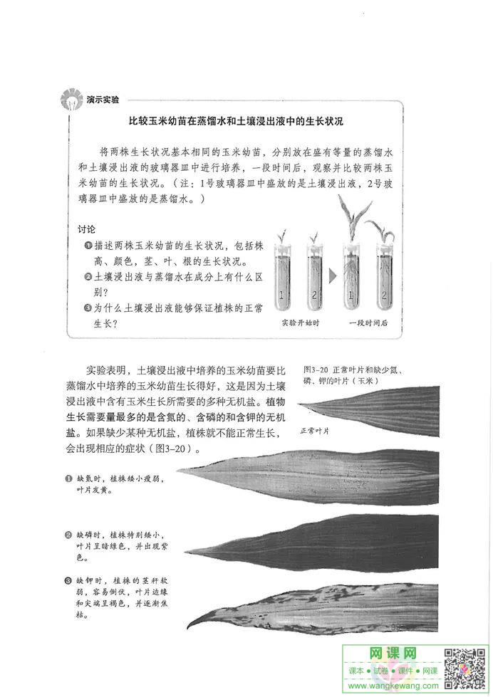 网课网