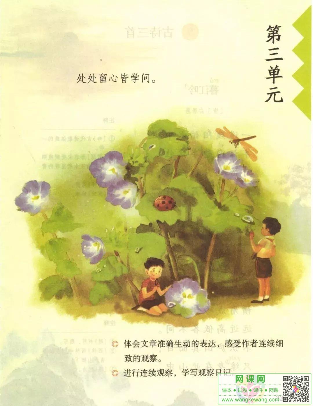 網課網
