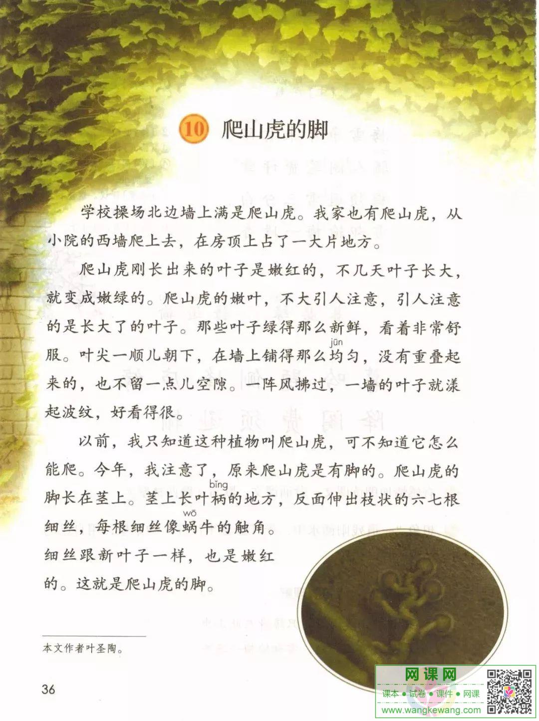 網課網