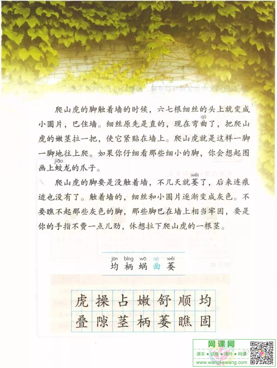 網課網