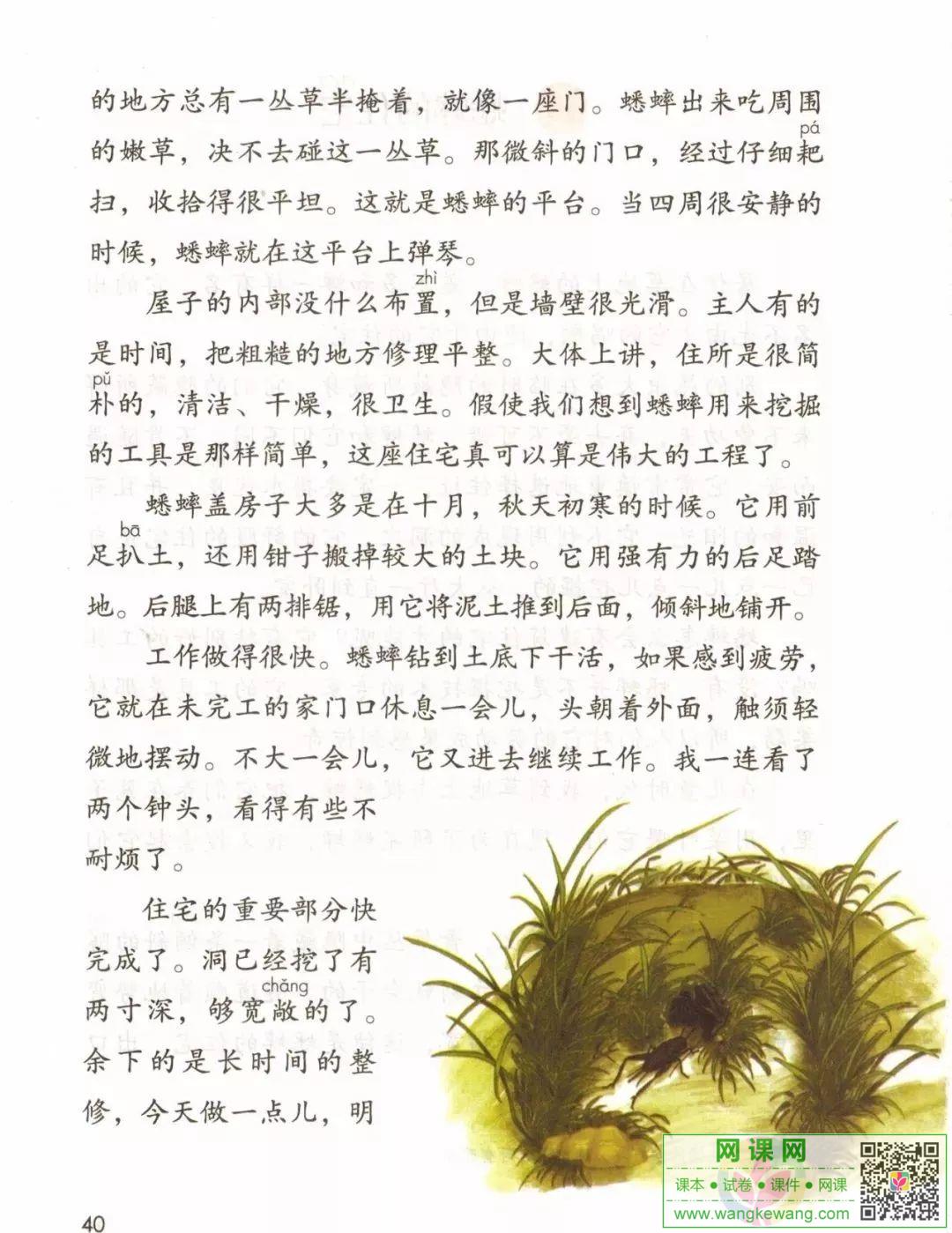 網課網