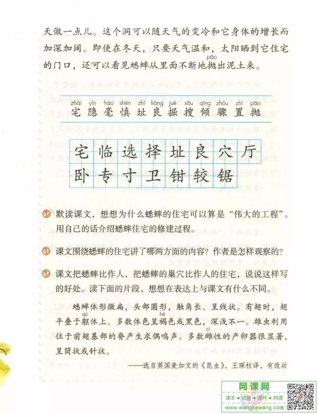 網課網