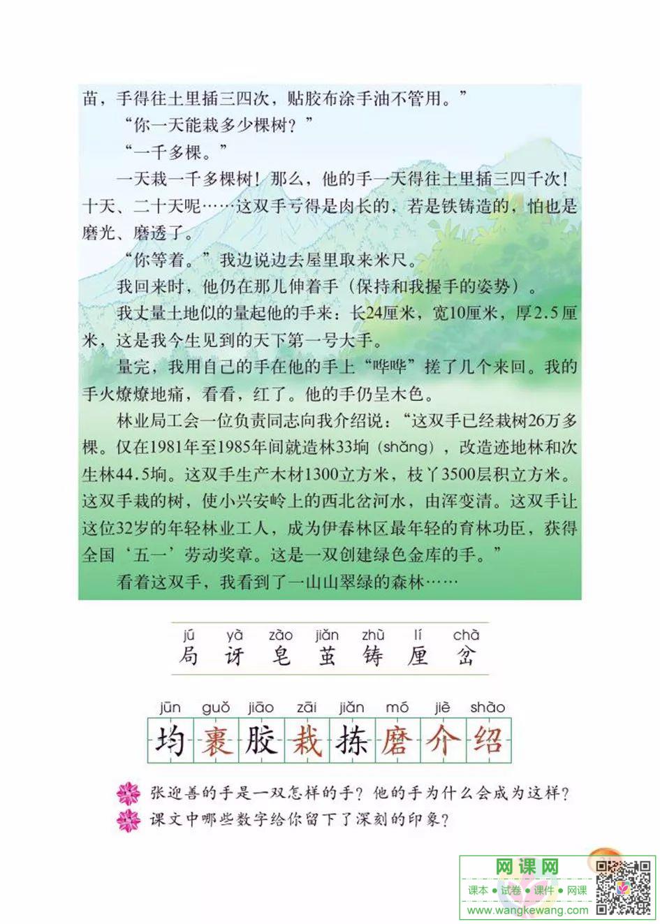 网课网